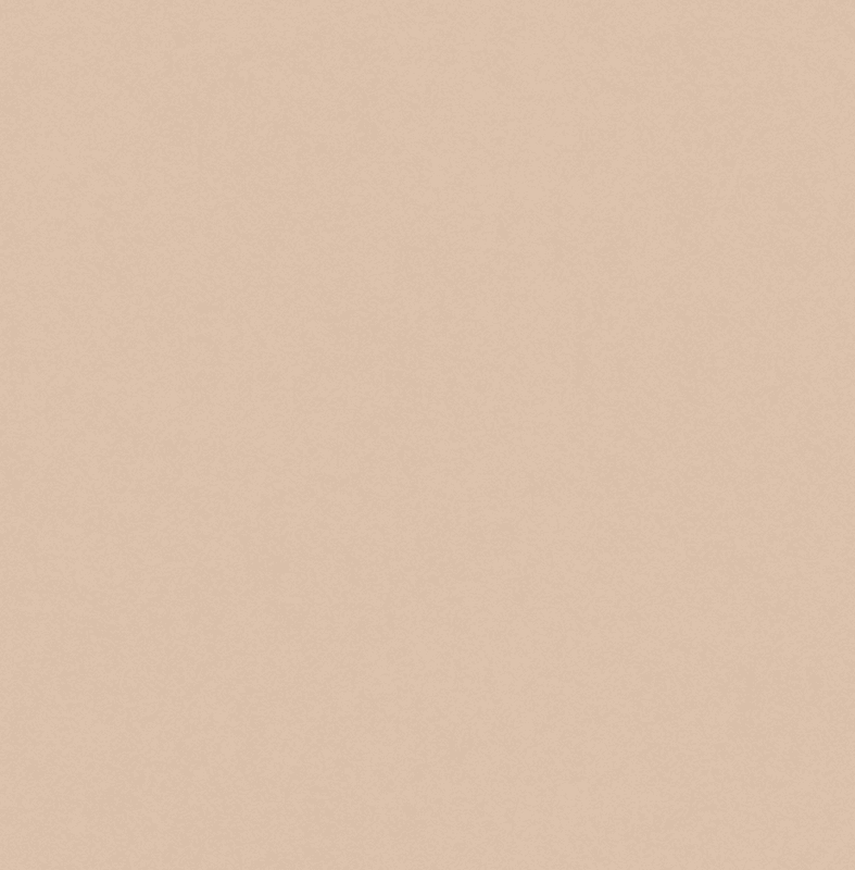 Hahnemuhle Cappuccino Skissebok, A5