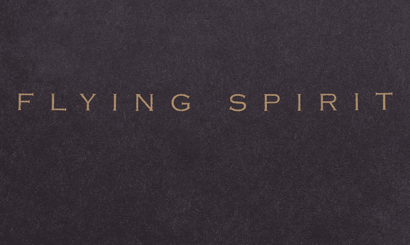 Flying Spirit Skinnpenal Flat modell, Cognac
