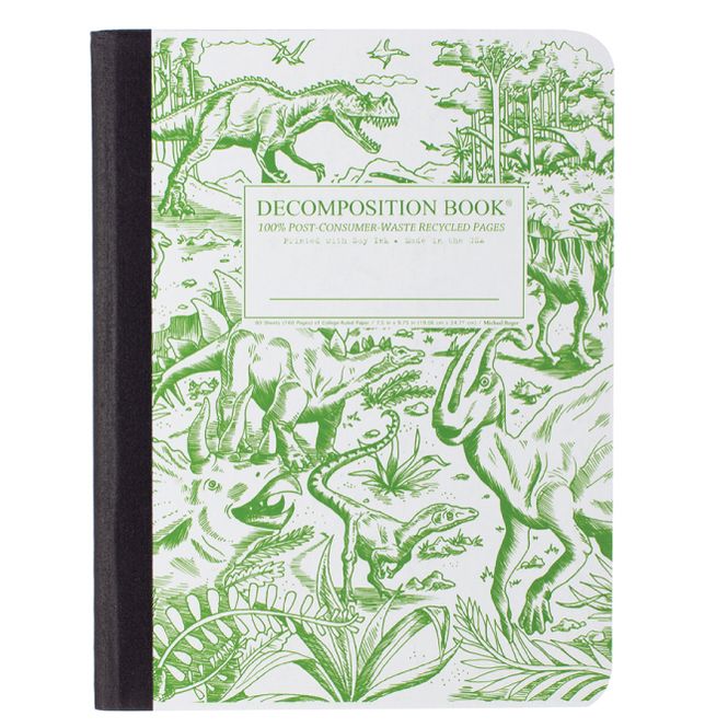 Hovedbilde Decomposition Notatbok DINOSAURS B5