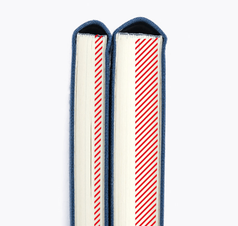 HOBONICHI Weeks MEGA 2027 Candy Dream